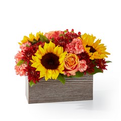 Fresh Cider Bouquet from Victor Mathis Florist in Louisville, KY